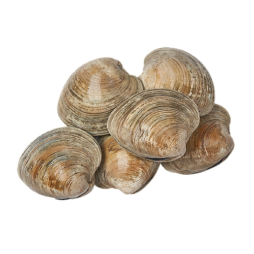 Wild caught cherrystone clams, locally harvested just hours from our stores.