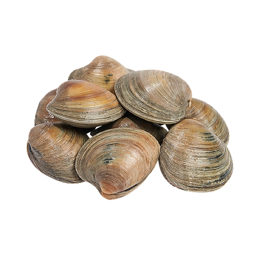 Wild caught littleneck clams, locally harvested just hours from our stores.