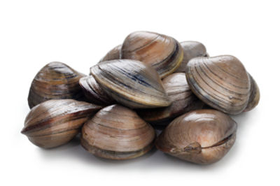 Fresh Little Neck Clams, 50 each