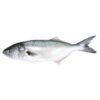 Fresh Seafood Buefish - Whole, 1 pound