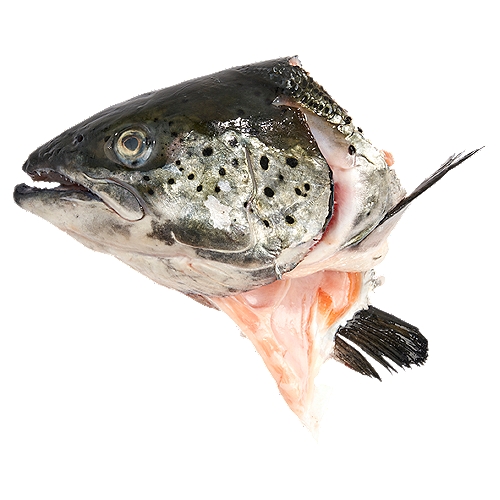 Our Fresh cut Salmon Heads are from Fresh never Frozen Premium Atlantic Salmon. Great for making fish stock or soup.