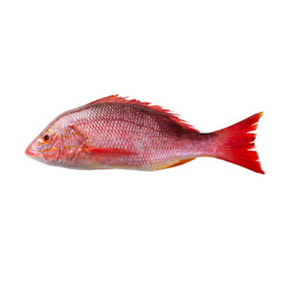 Fresh Wild Caught Red Snapper