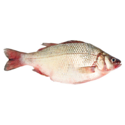 Fresh Perch, 1 pound, 1 Pound