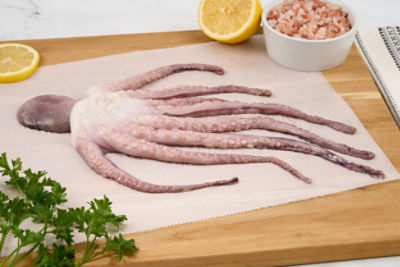 Fresh Octopus, Whole, Cleaned