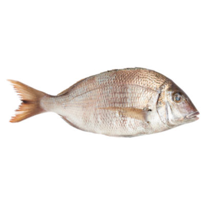 Fresh Seafood Porgies - Whole, 1 pound