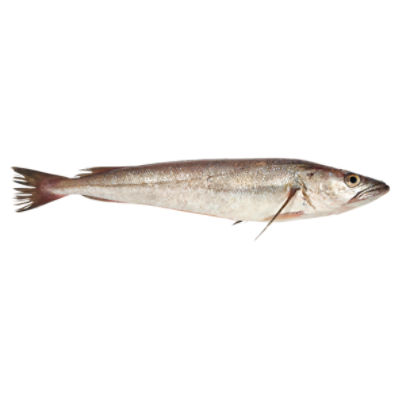 Fresh Seafood King Whiting - Whole, 1 pound