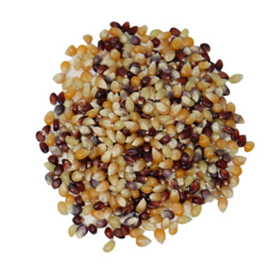 Multicolor Popping Corn