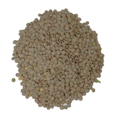 Lentils Organic Green