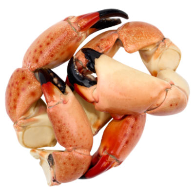 Fresh Stone Crab, Colossal, Cooked