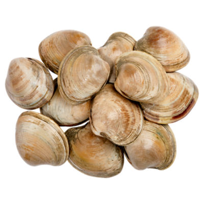 Farm Raised Little Neck Clams