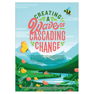 Cascadian Farm Organic Honey Nut O's Cereal 9.5 oz Pack of 2