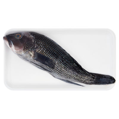Fresh Whole Cleaned Black Sea Bass, Wild Caught