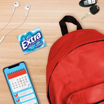 EXTRA Gum Peppermint Sugar Free Chewing Gum