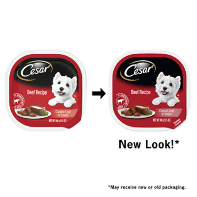 Cesar beef dog outlet food