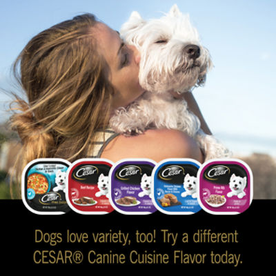 Cesar 4 Flavors Canine Cuisine Dog Food, 3.5 oz, 24 count