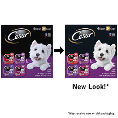 Cesar 4 Flavors Canine Cuisine Dog Food, 3.5 oz, 24 count