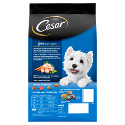 Cesar dog clearance food big bag