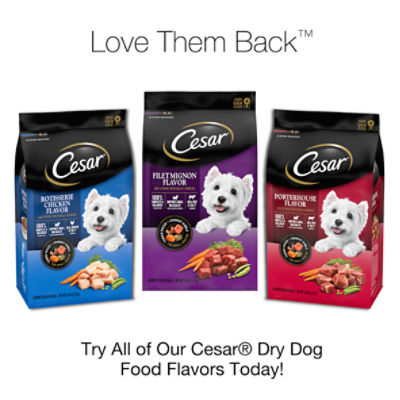 Cesar dry shop dog food coupons