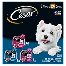 CESAR Adult Wet Dog Food Filets in Gravy Variety, Filet, New York Strip, Prime Rib, (24) 3.5 oz.
