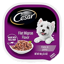 CESAR Adult Soft Wet Dog Food Filets in Gravy Filet Mignon Flavor, (24) 3.5 oz. Trays, 14 Ounce