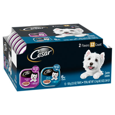 CESAR Adult Wet Dog Food Filets in Gravy Variety Filet Mignon