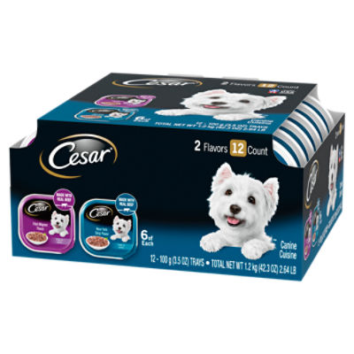 CESAR Adult Wet Dog Food Filets in Gravy Variety Filet Mignon