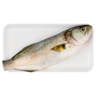 Fresh Whole Cleaned Bluefish, Wild Caught