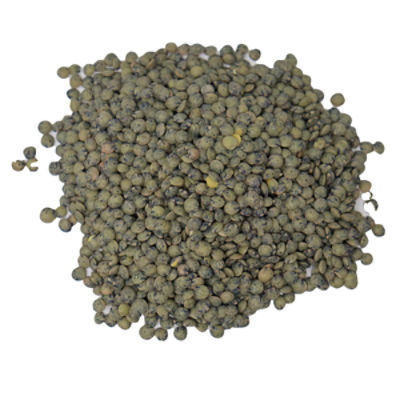 Organic French Lentil