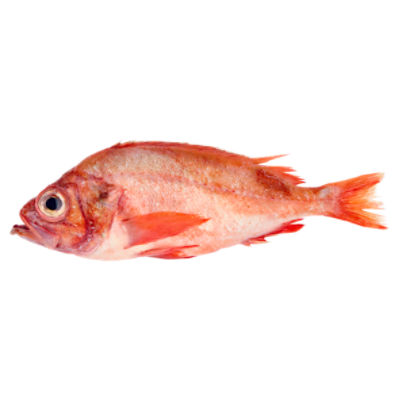 Fresh Seafood Department Fresh Wild Caught Ocean Perch Fillet, 1 pound