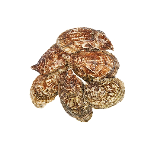 A varied assortment of farming methods develop an especially plump and heart New England oyster with consistent size and shape.
