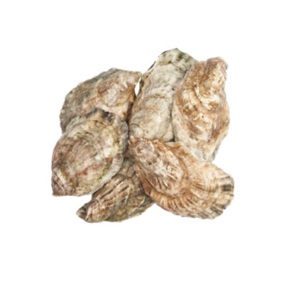 Fresh Scorton Creek Oysters, 1 Each 