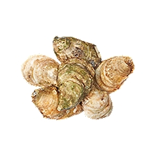 Malpaque Oysters