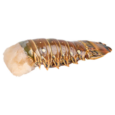 Fresh Seafood Department Lobster Tail, 4 oz