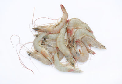 Fresh Heads On Shrimp, 1 pound, 1 Pound