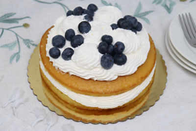 Blueberry Shortcake