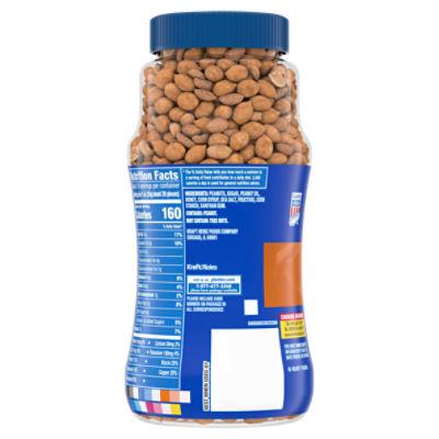 PLANTERS® Honey Roasted Dry Roasted Peanuts, 16 oz jar - PLANTERS® Brand