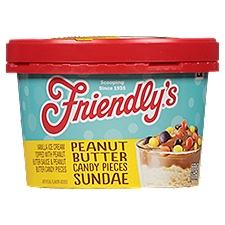 Friendly's Peanut Butter Candy Pieces Sundae 6 fl oz