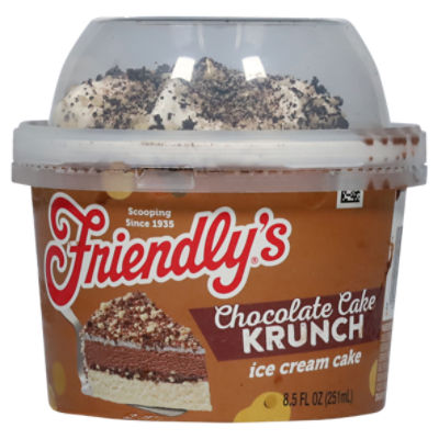 Friendly's Chocolate Cake Krunch Ice Cream Cake 8.5 fl oz