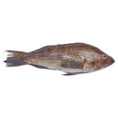 Fresh Whole Black Seabass