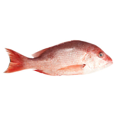 Wild Gulf Red Snapper