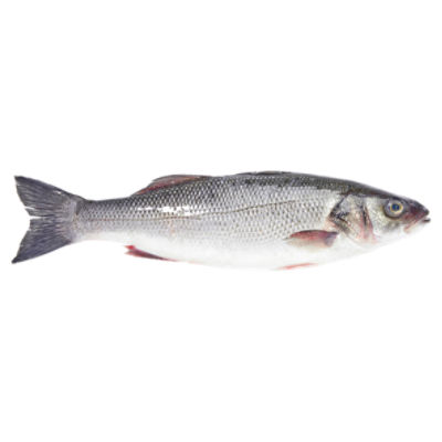 Bass Fish Paper Towel Holder - Animal Decor