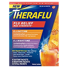 Gsk Theraflu Flu Relief Max Strength Honey Lemon Daytime + Nighttime Powder, 12 count