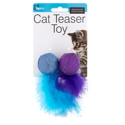 Tiny's Pet Product Cat Teaser Toy, 2 count