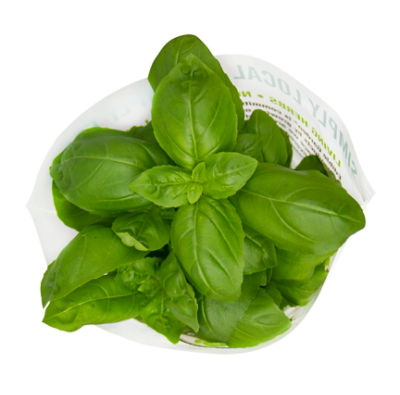 Basil Fresh One Bunch 1 each ShopRite