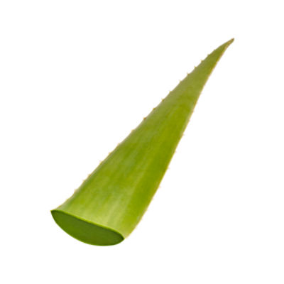 Aloe Vera Leaves, 1 each, 1 Each