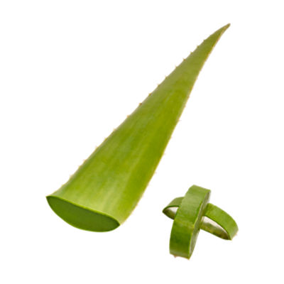Fresh Aloe Vera Leaf, each