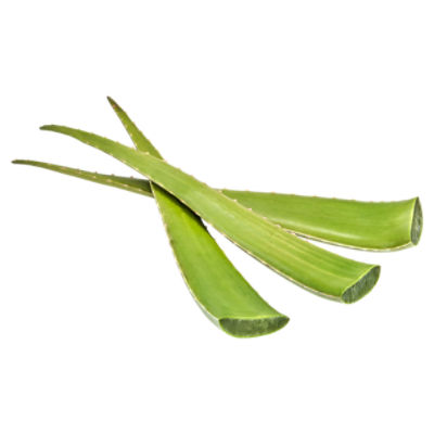 Fresh Aloe Vera Leaf, each