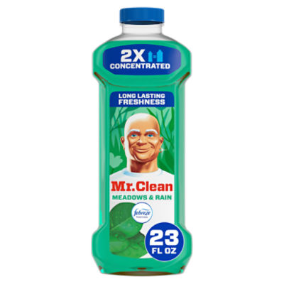 Mr. Clean Meadows & Rain with Febreze Freshness Multi-Surface Cleaner, 1.43 pt