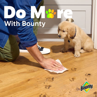 Bounty Double Plus Paper Towel Rolls, 12 count