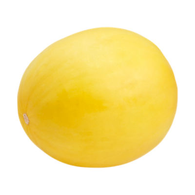 Fresh Melon Gold Honeydew, each